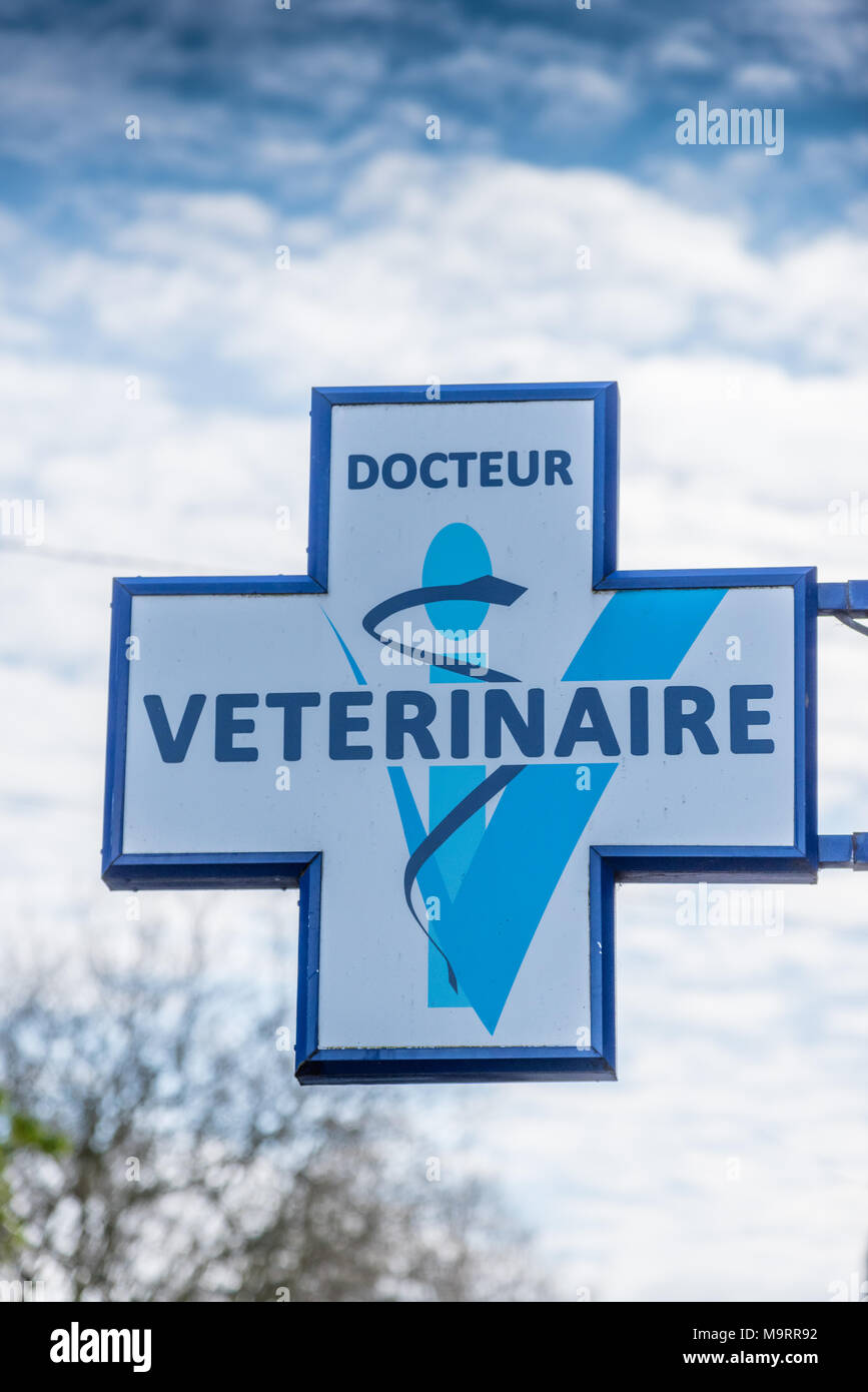 Segno di un veterinario francese su una parete in città Foto Stock