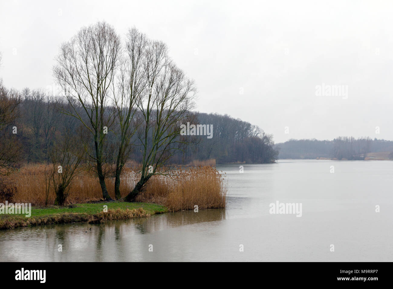 Lago Deseda in Somogy county, Ungheria. Foto Stock