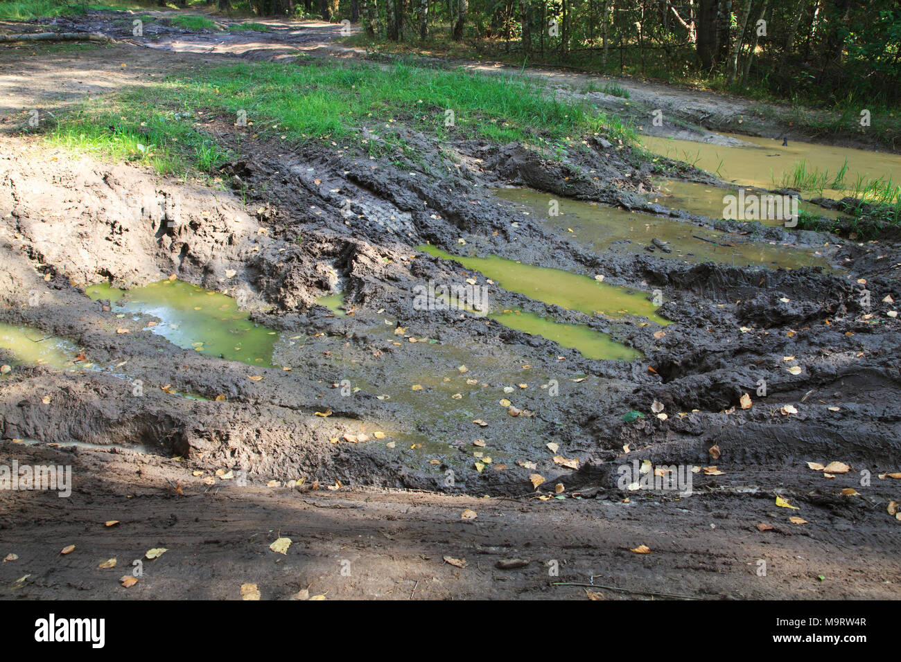 Impraticabile la strada forestale di fango e di argilla, offroad Foto Stock