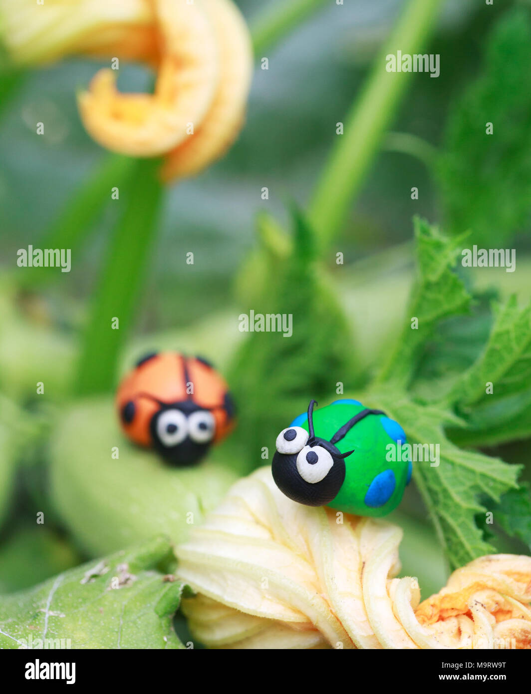 Plastilina world - poco in casa verde e arancione ladybugs seduto su una fioritura di zucchine, il fuoco selettivo sul primo coccinella Foto Stock