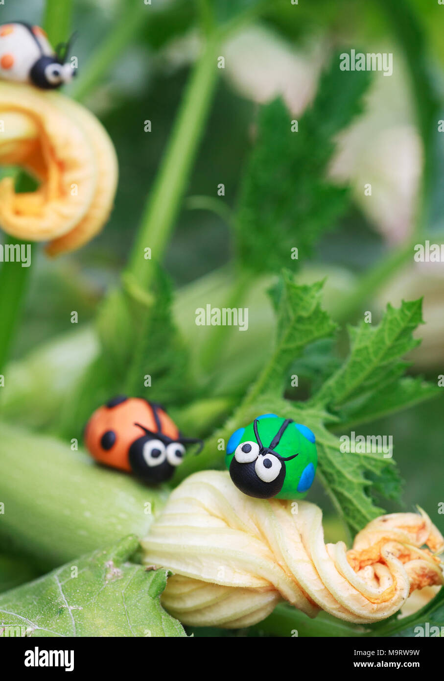 Plastilina world - poco in casa verde e arancione ladybugs seduto su una fioritura di zucchine, il fuoco selettivo sul primo coccinella Foto Stock