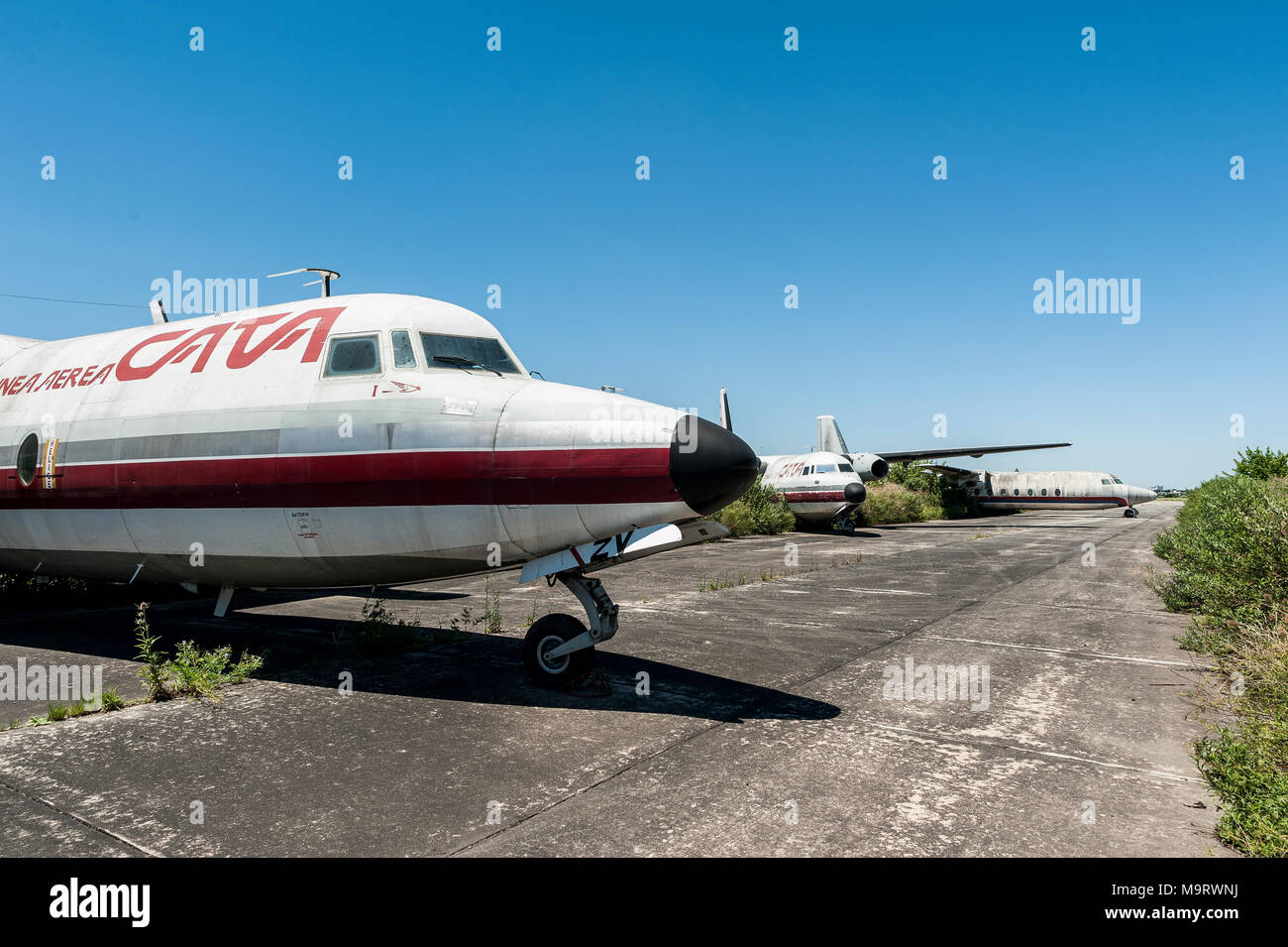 La natura assume abbandonato Fairchild aeroplani di CATA Linea Aerea a Moron Aeroporto di Buenos Aires, che mostra qui un dettaglio del naso e cockpit Foto Stock