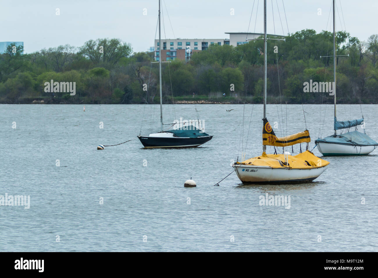 Giallo in barca a vela sul lago White Rock a Dallas Texas Foto Stock