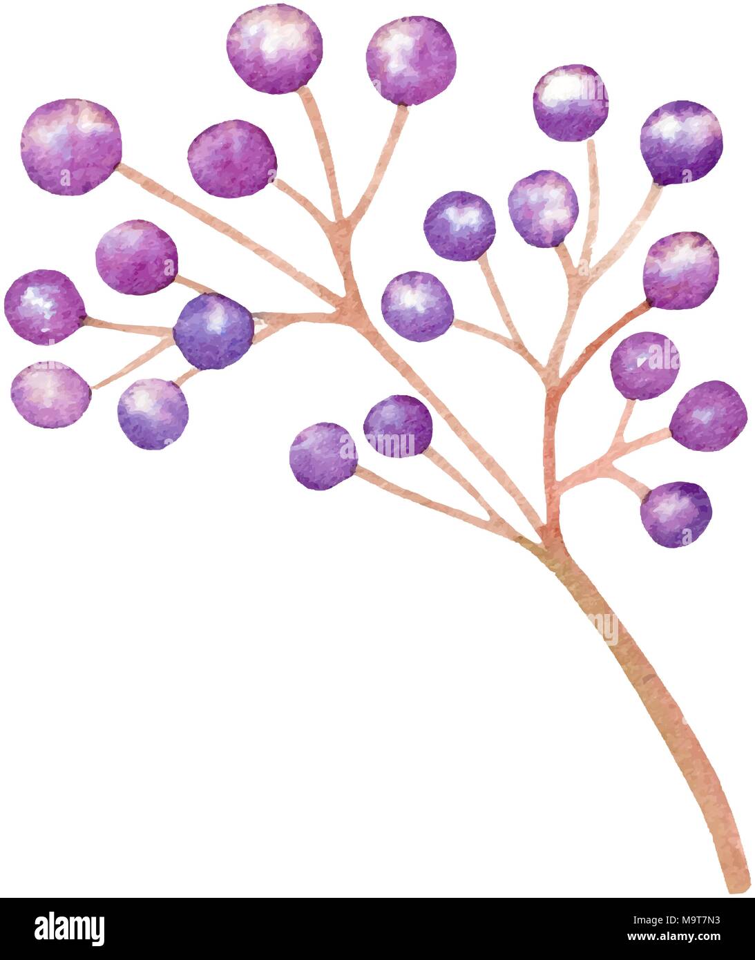 Il vettore isolato impianto viola invito a nozze biglietto di auguri Illustrazione Vettoriale