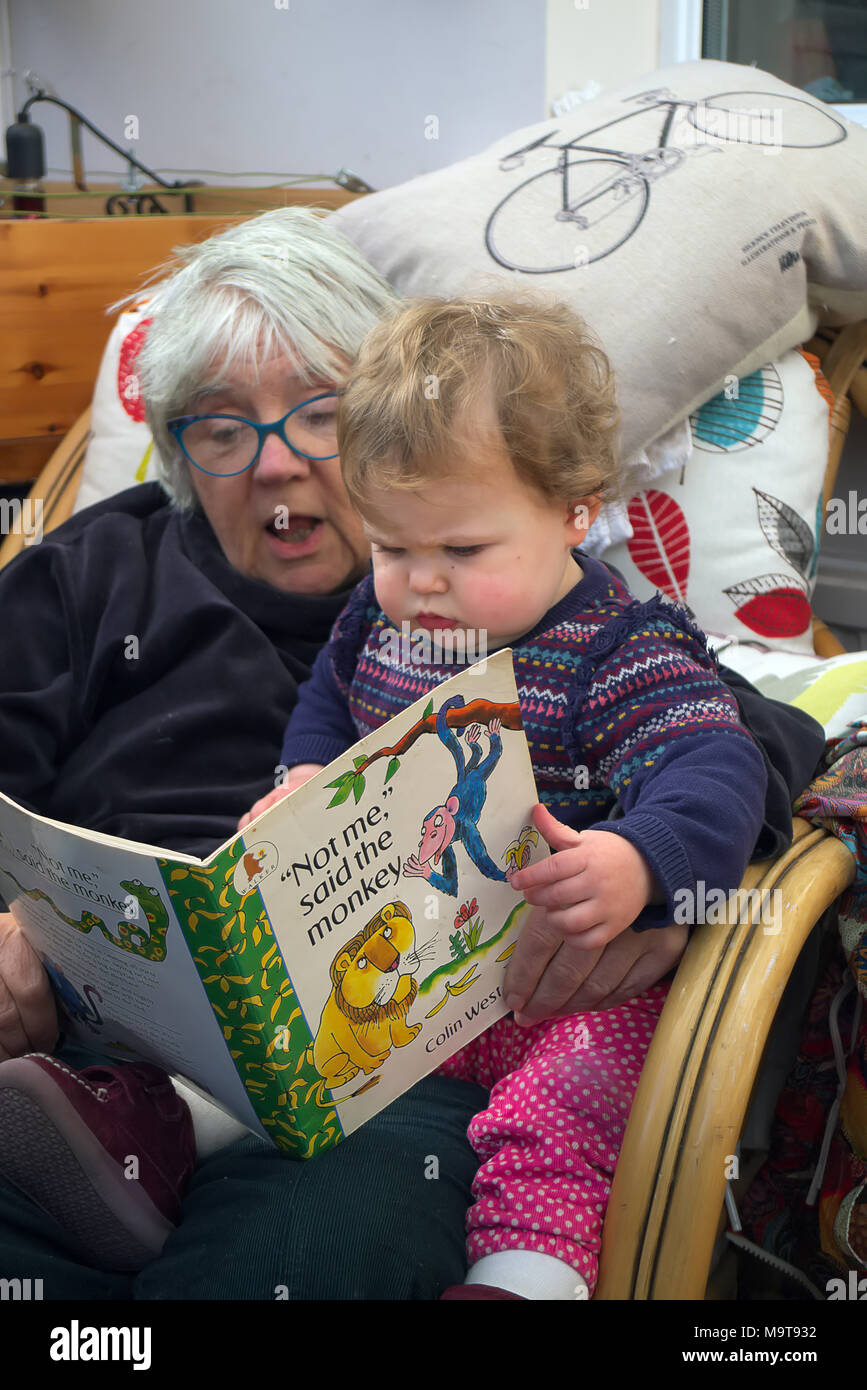 Dodici mesi di età bambino nipote di lettura con la Nonna nonna Foto Stock