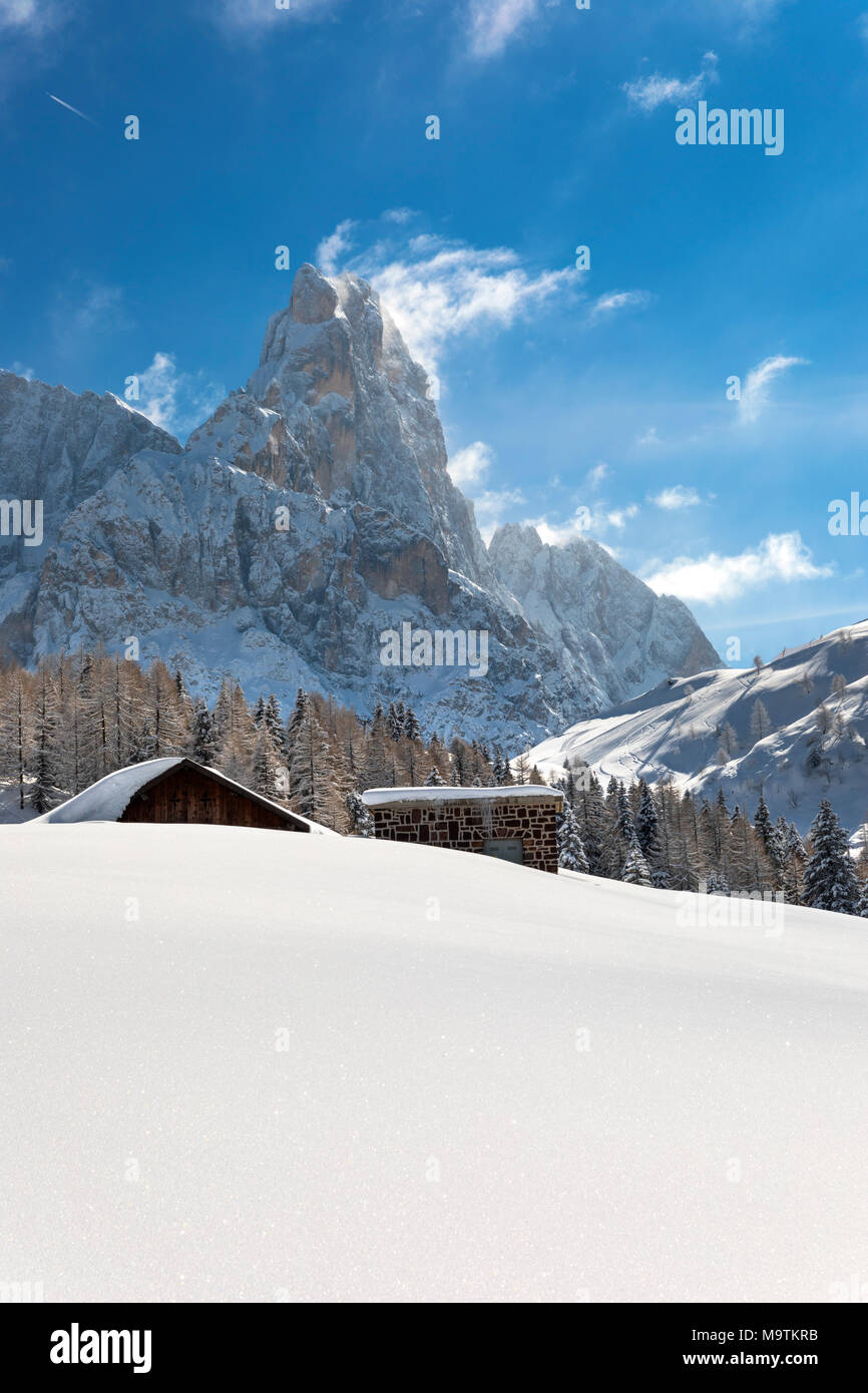 Le Pale di San Martino Montagne, Vista di Passo Rolle, San Martino di Castrozza village, distretto di Trento, Trentino Alto Adige, Italia Foto Stock