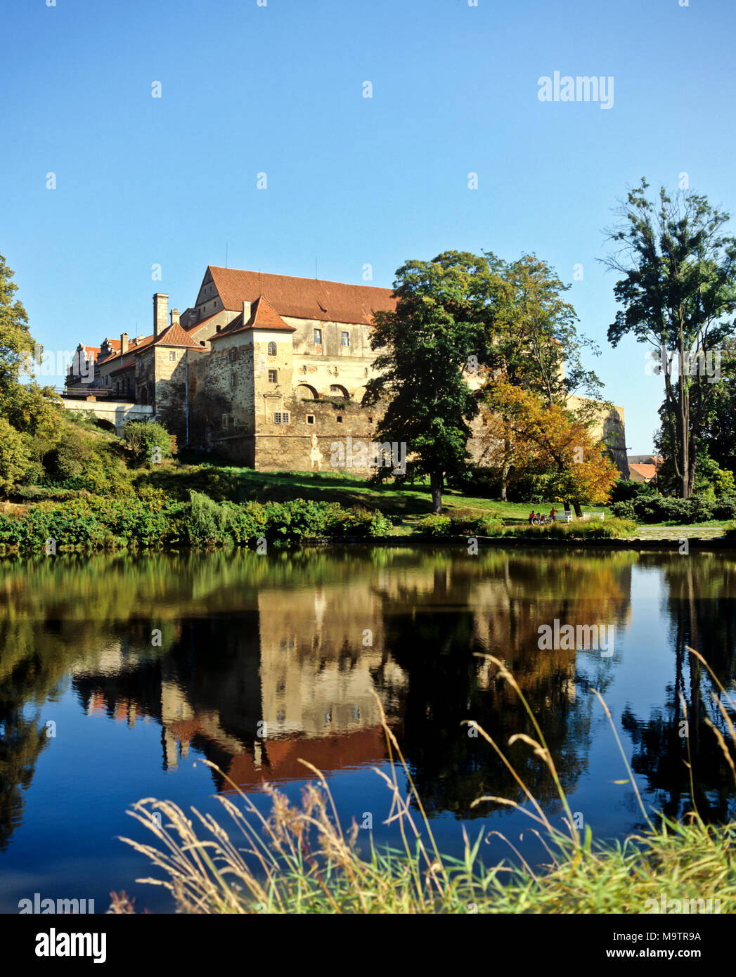 9006. Horsovsky Tyn, Castello ovest Boemia, Repubblica Ceca, Europa Foto Stock