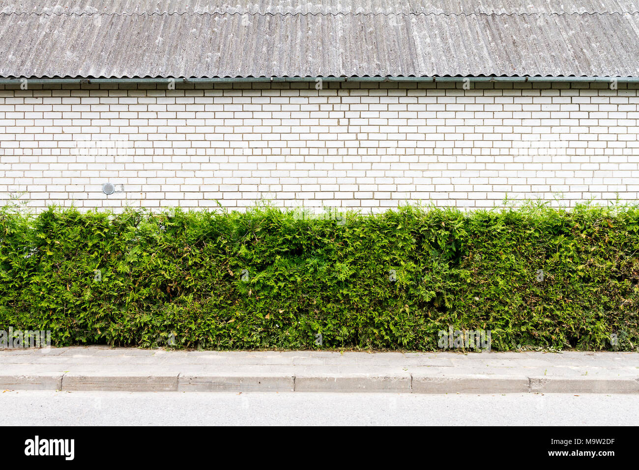Green arbour hedge con il bianco muro di mattoni, tetto e lo sfondo sul marciapiede Foto Stock