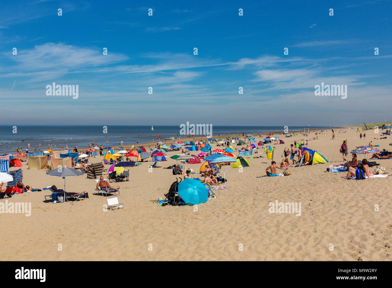 Prendere il sole sulla spiaggia di Noordwijk Zuid Holland. Foto Stock