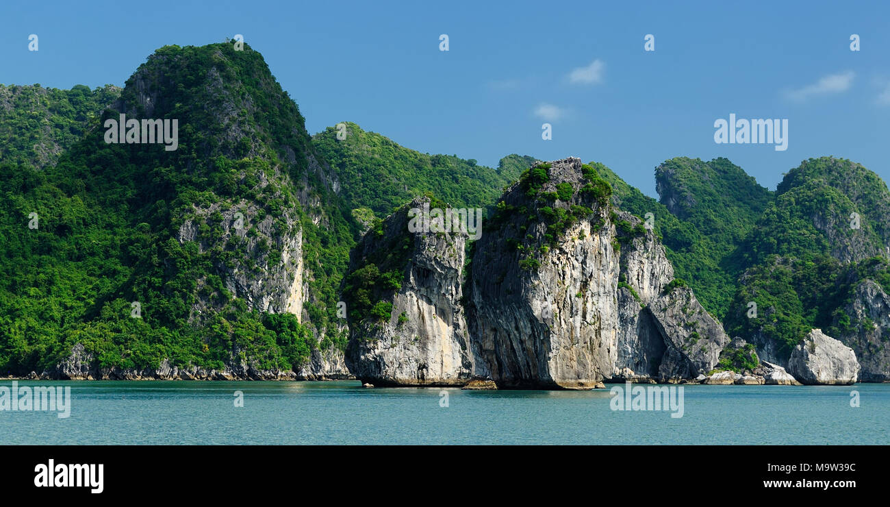 Vietnam - isola di roccia in Halong Bay National Park (UNESCO). La più bella e la più famosa destinazione turistica del Vietnam Foto Stock