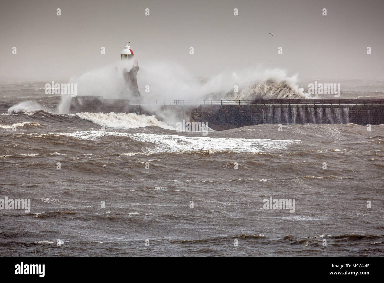 Il mare in tempesta colpendo Tymemouth Pier, South Shields, Inghilterra, GB, Regno Unito, Europa. Foto Stock