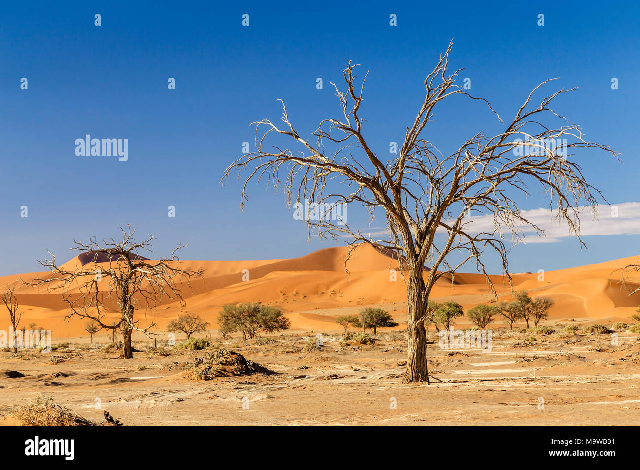 Sossusvlei, Namibia Foto Stock