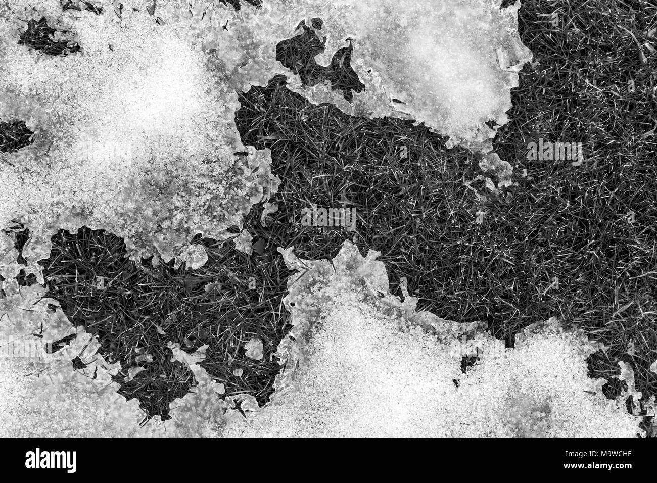 La texture di scongelate neve si trova sulla molla di erba verde sotto forma di una mappa del mondo e continenti Foto Stock