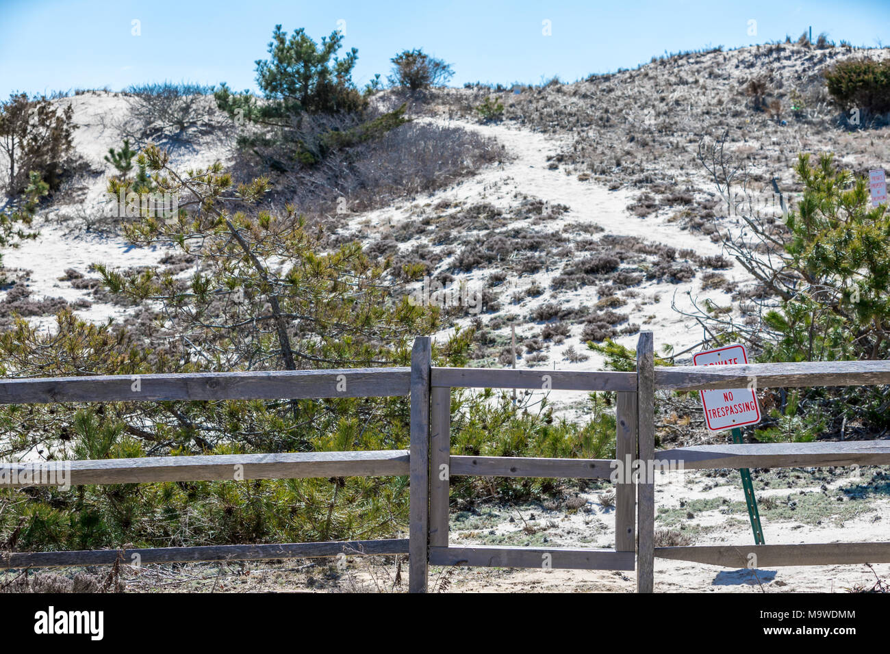 Percorso serpeggiante alla spiaggia, amagansett, NY Foto Stock