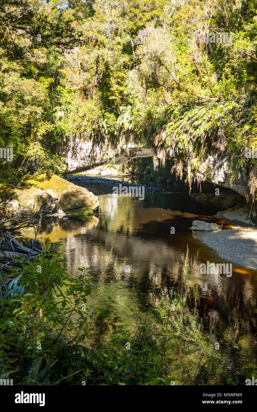 Cancello di Moria Arch, Kahurangi National Park, Isola del Sud, Nuova Zelanda Foto Stock