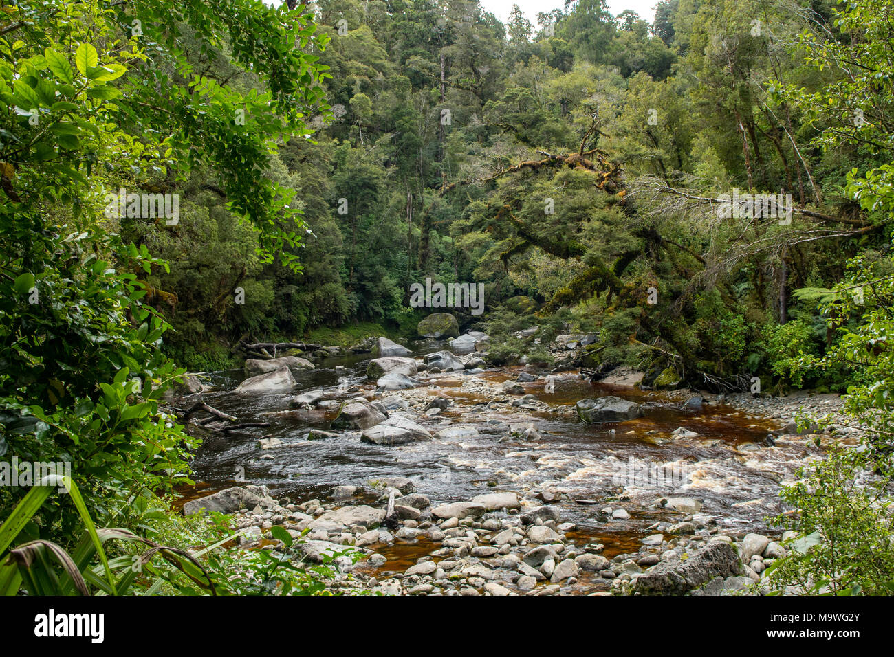 Fiume Oparara, Kahurangi National Park, Isola del Sud, Nuova Zelanda Foto Stock