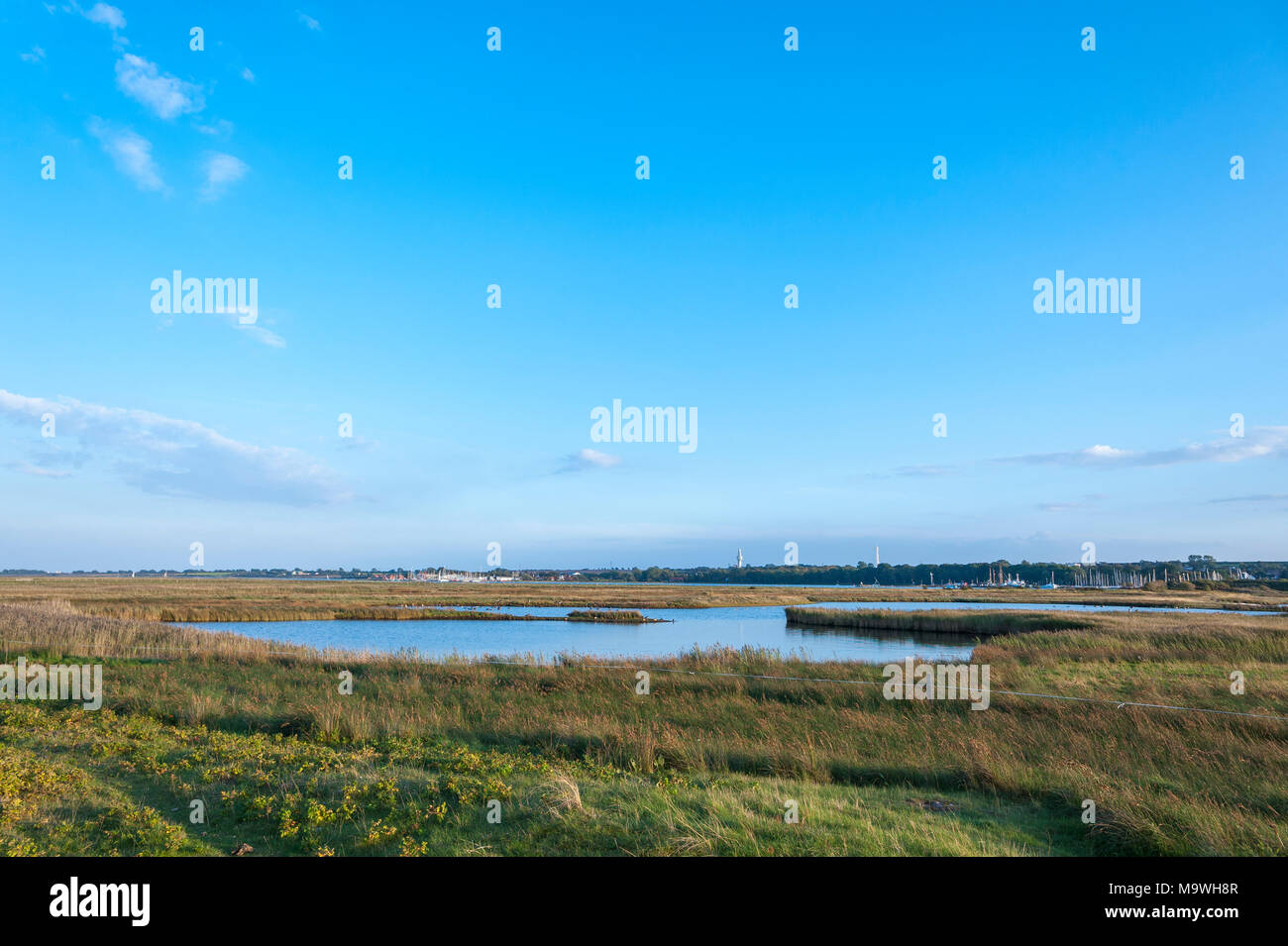 Riserva naturale Graswarder, Heiligenhafen, Mar Baltico, Schleswig-Holstein, Germania, Europa Foto Stock