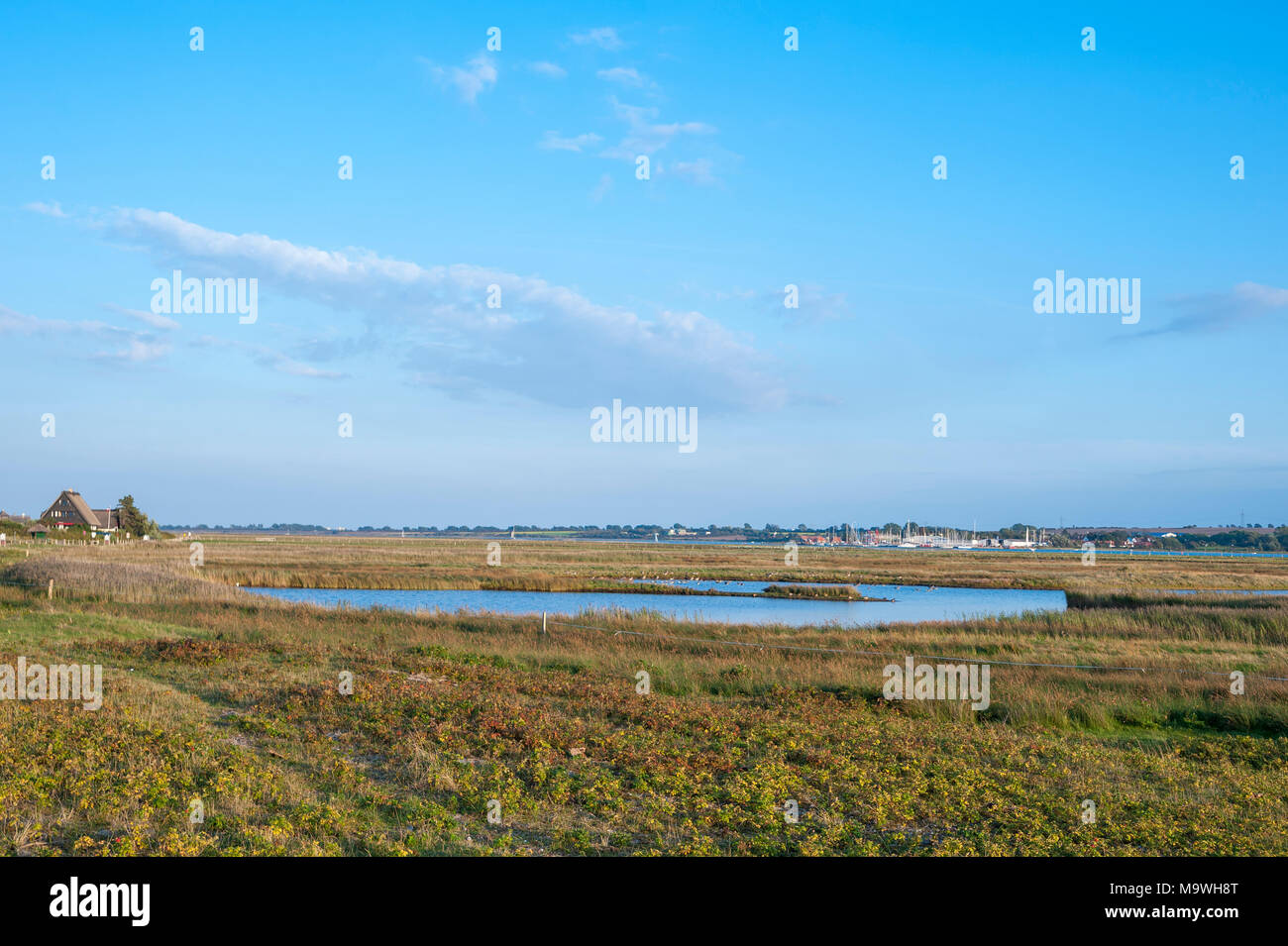 Riserva naturale Graswarder, Heiligenhafen, Mar Baltico, Schleswig-Holstein, Germania, Europa Foto Stock