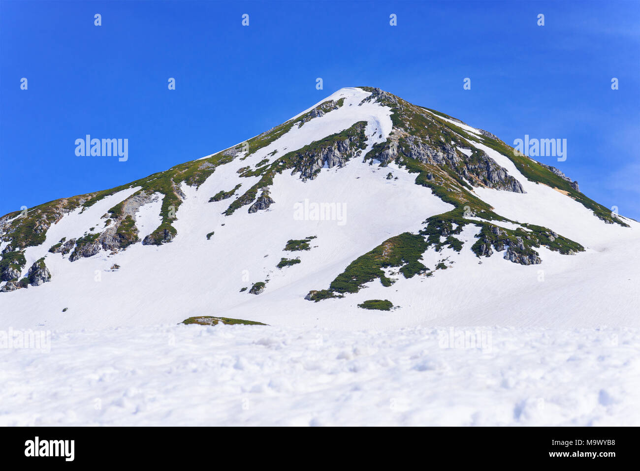Viste del Tateyama Mountain Range a Murodo. Murodo è il punto più alto lungo la Tateyama Kurobe Route Alpino. Foto Stock