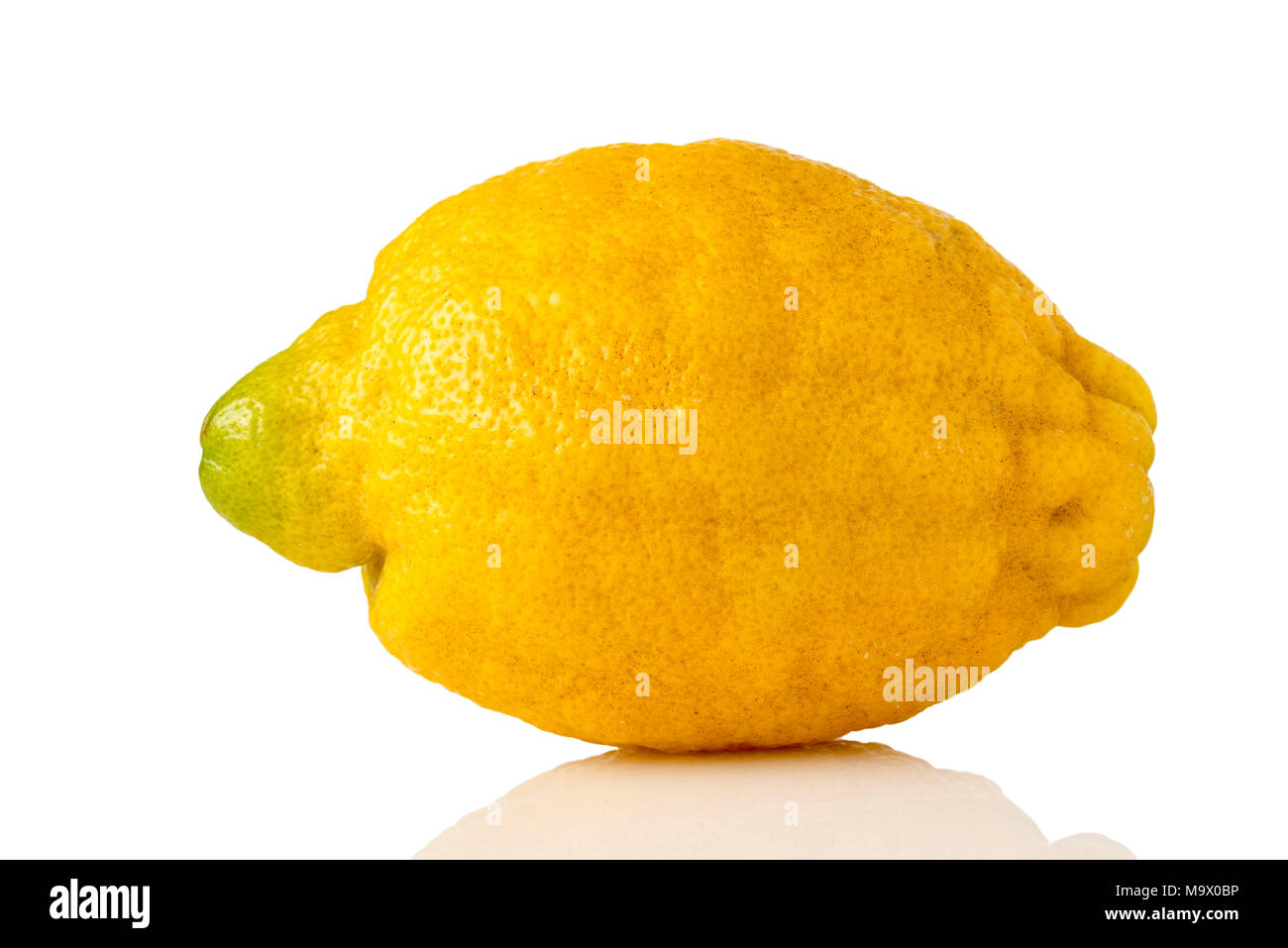 Primo piano di un limone su sfondo bianco Foto Stock