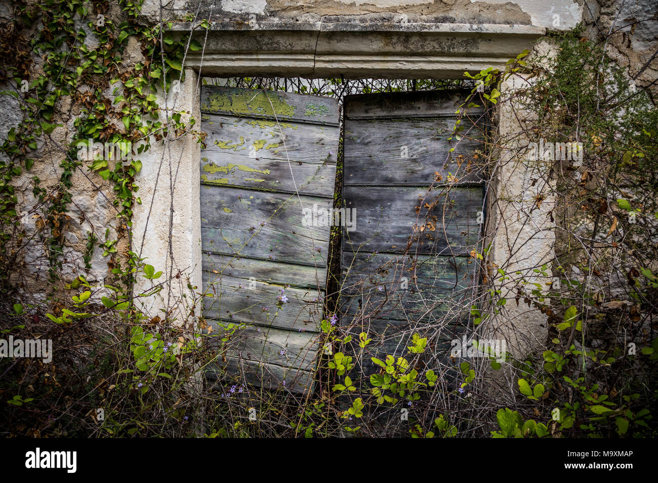 Vecchi abbandonati e case di cariati, estinto villaggio sulla penisola di Peljesac, Croazia Foto Stock