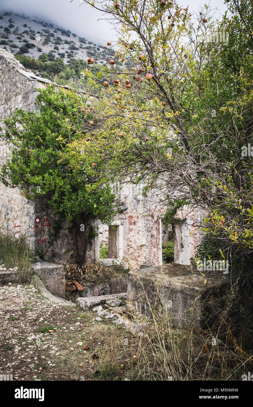 Vecchi abbandonati e case di cariati, estinto villaggio sulla penisola di Peljesac, Croazia Foto Stock