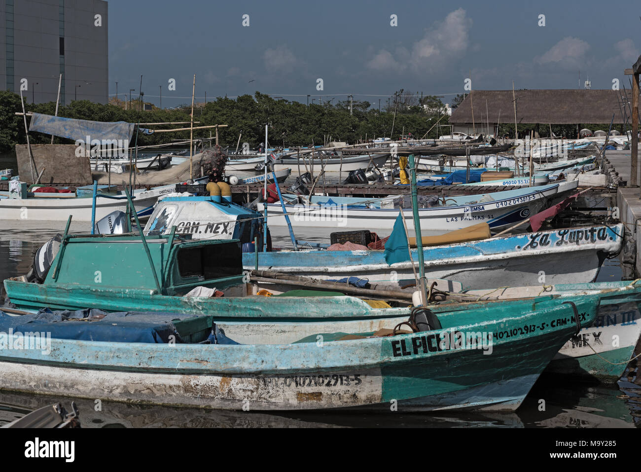 Barche da pesca nella darsena de san francisco, Campeche, Messico Foto Stock