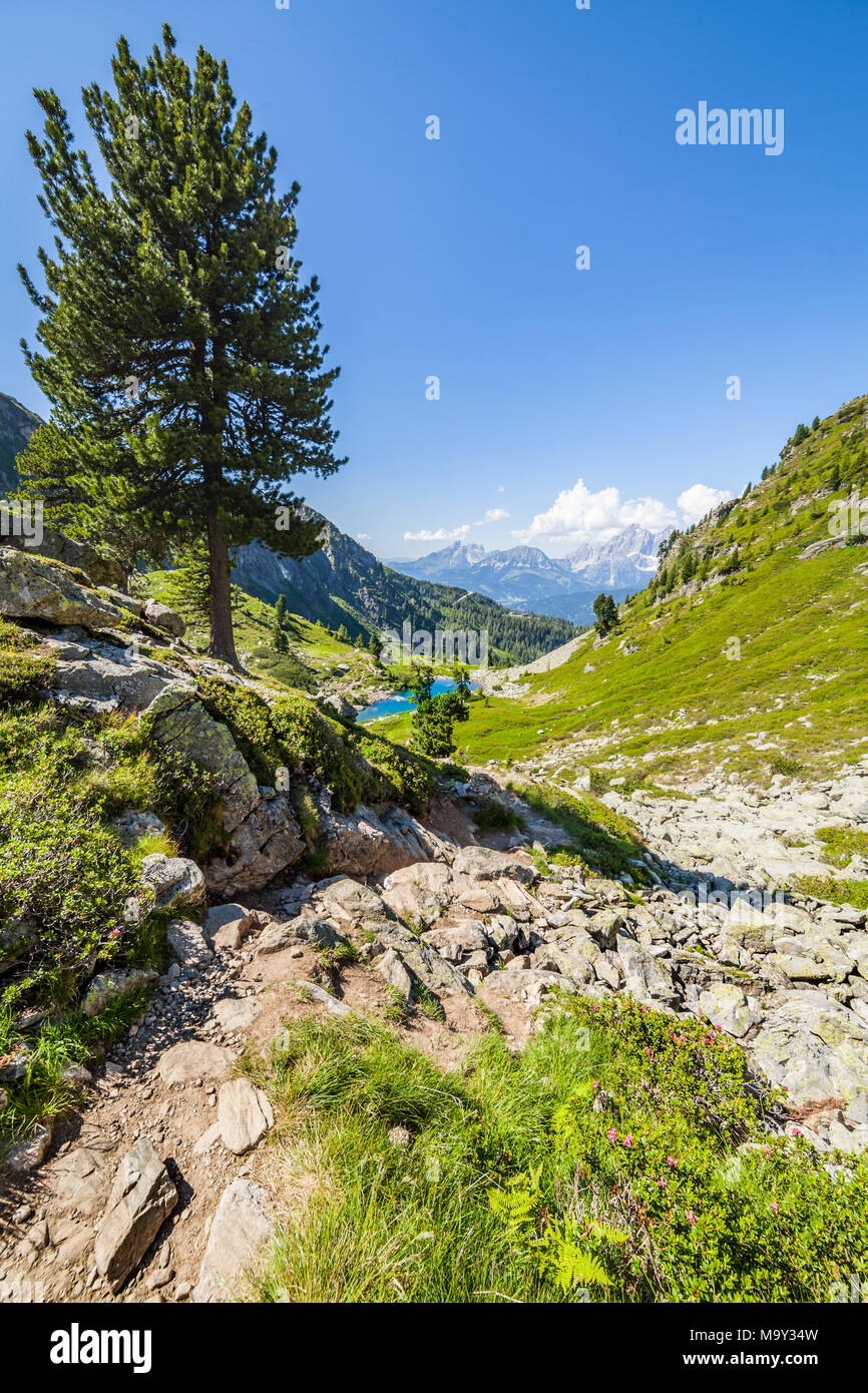 Sentiero escursionistico dalla montagna Rippetegg e laghi Obersee e Mittersee al lago Mittersee/Spiegelsee e distante monte Dachstein Foto Stock