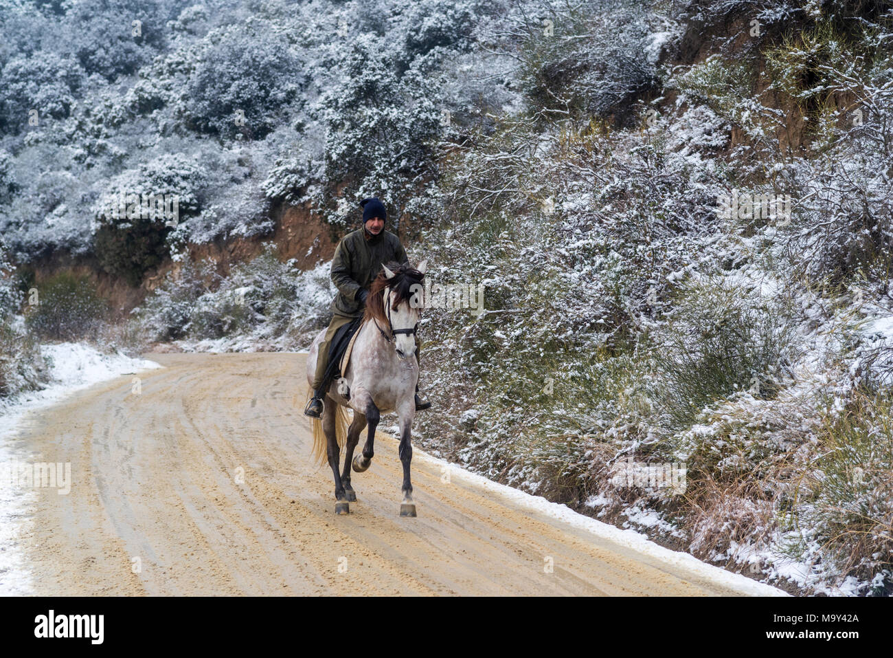 Passeggiate a cavallo in un paesaggio innevato, Barcellona, in Catalogna, Spagna, Europa. Foto Stock