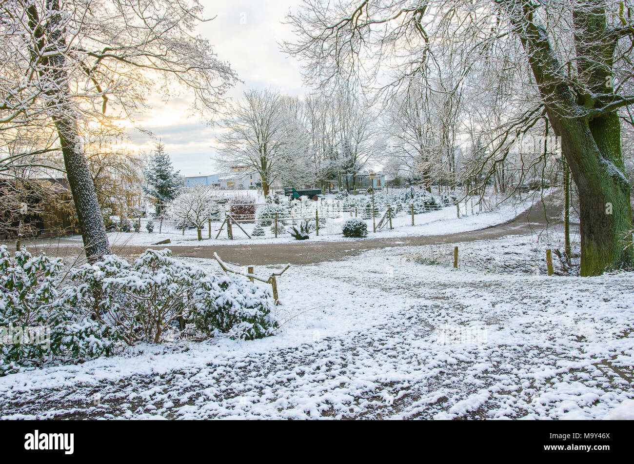 Bella mattinata d'Inverno in campagna Foto Stock