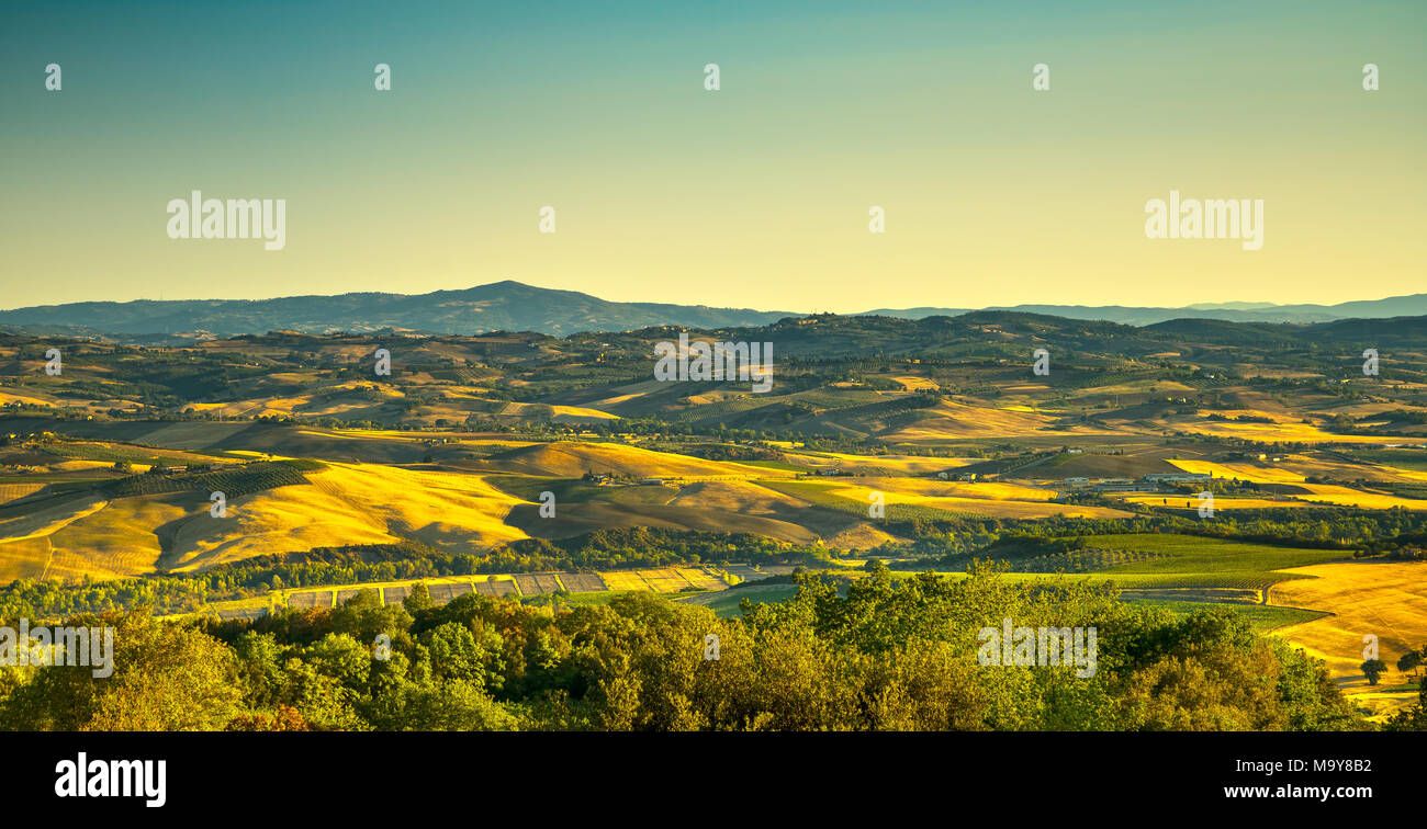Toscana Campagna Vista panoramica dal Monte Amiata Montegiovi, vigneti e prati verdi. Grosseto Toscana, Italia Foto Stock