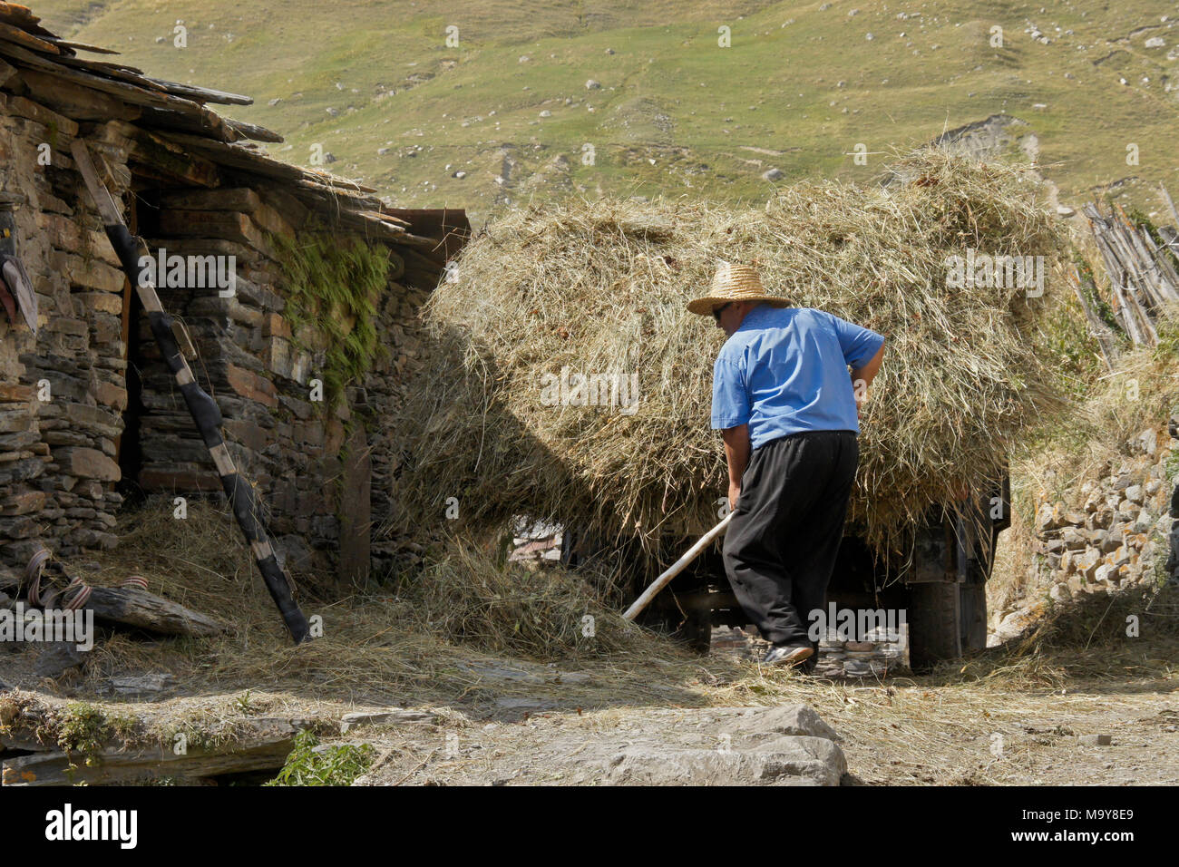 Un agricoltore fieno carichi su un carrello a fianco di un vecchio fienile in pietra con tetto in ardesia, Ushguli, Svaneti superiore, Georgia Foto Stock