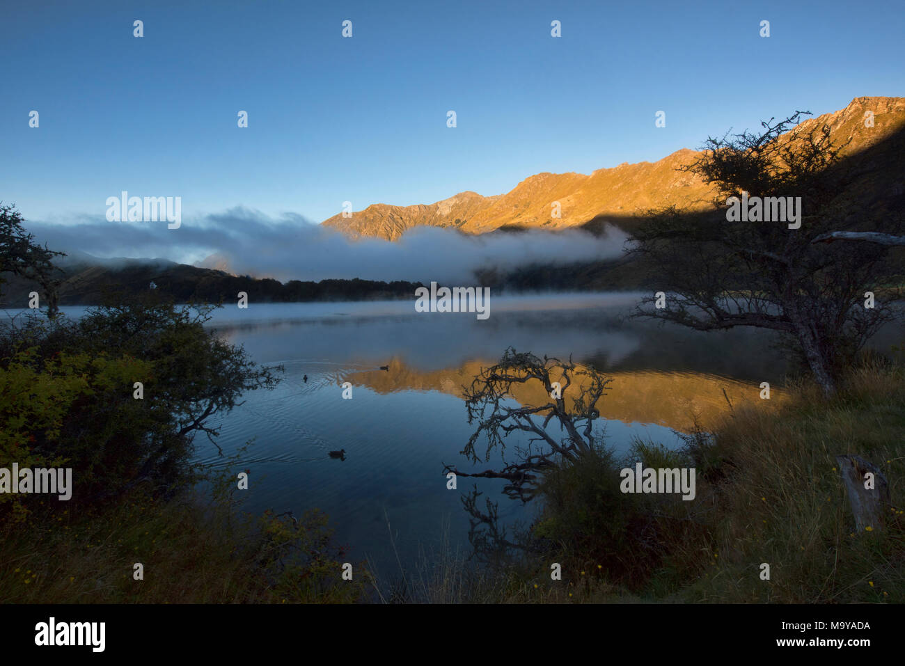 Nebbia di mattina sul lago fuma vicino a Queenstown, Nuova Zelanda Foto Stock