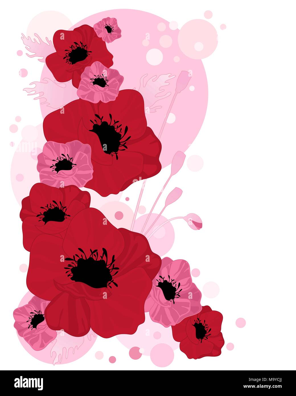 Una illustrazione di estratto di fiori di papavero con seedheads boccioli e una caramella bolla rosa su sfondo bianco Illustrazione Vettoriale