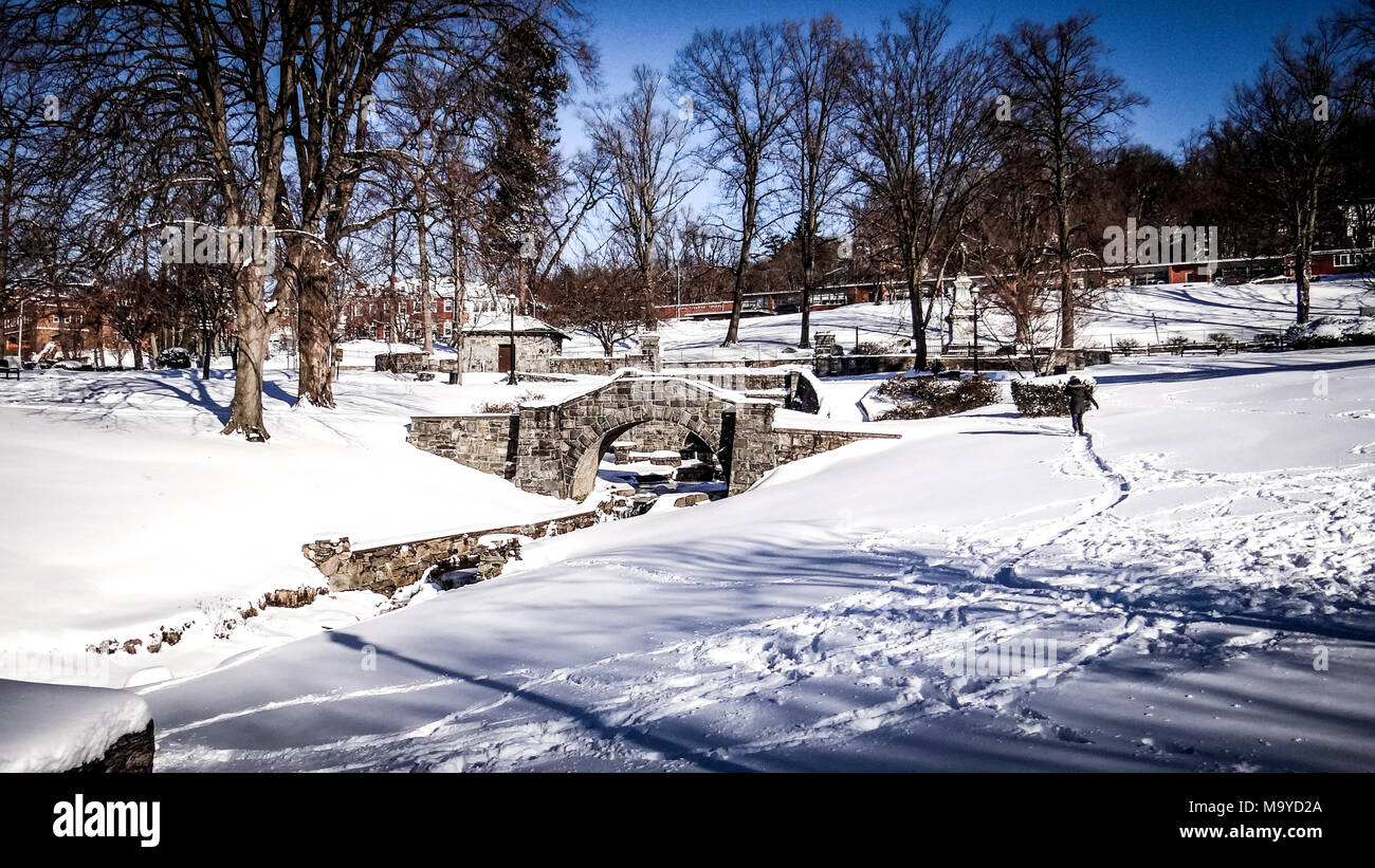 Il Parco in inverno completamente bianco, nel Tarrytown e Sleepy Hollow, New York Foto Stock
