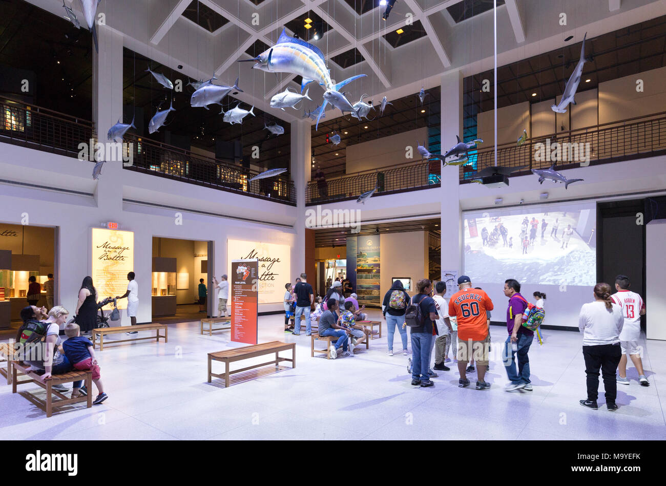 La gente nella hall, Houston Museo di Scienza Naturale, Houston, Texas, Stati Uniti d'America Foto Stock