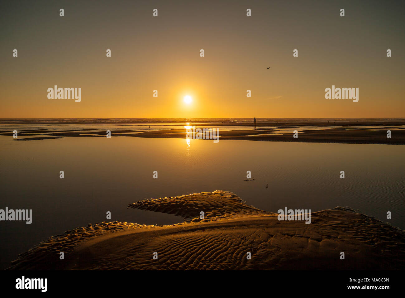 Una singola persona non identificabili su una spiaggia al tramonto in Oregon, USA Foto Stock