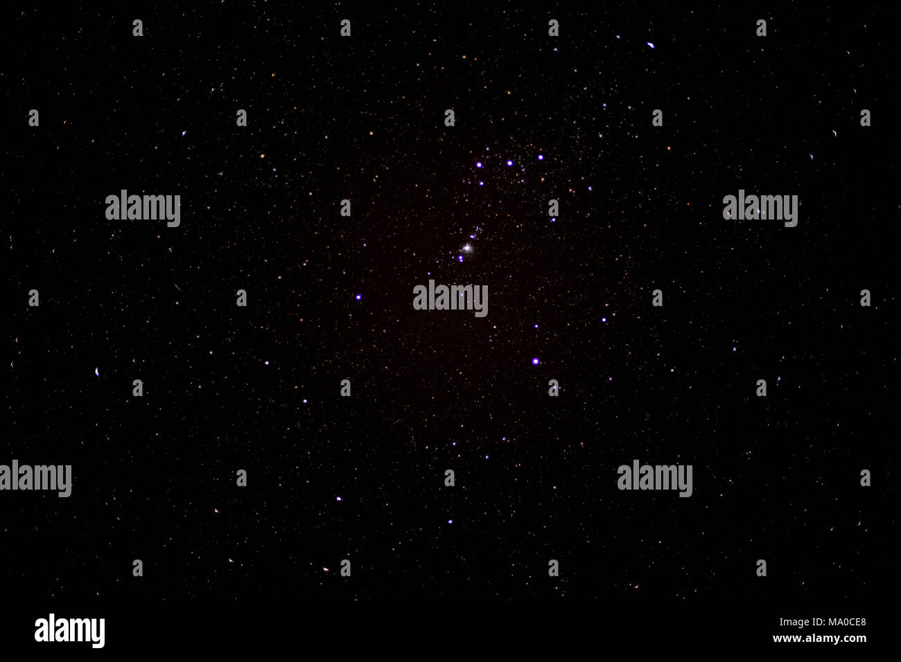 Cielo stellato di notte con Orion Foto Stock