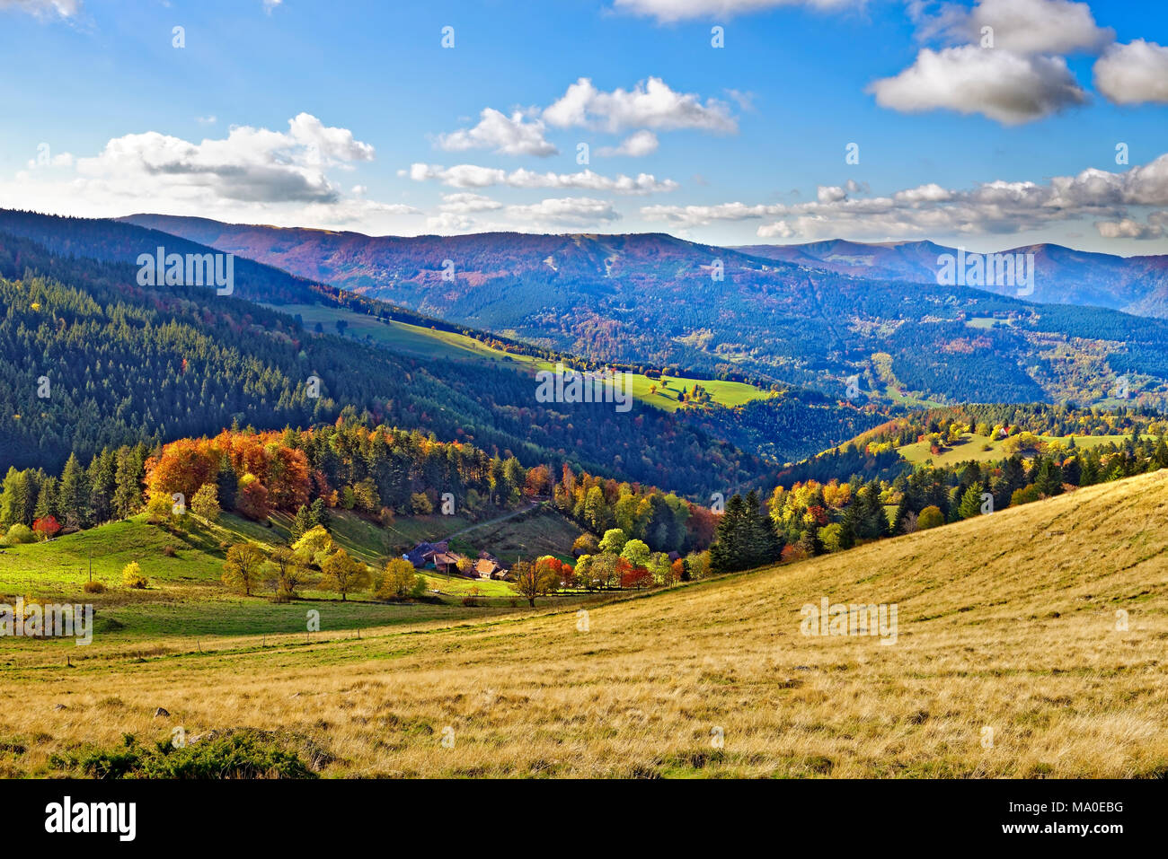 Una vista in elevazione delle montagne Vosges da Petit Ballon, Alsazia, Francia. Foto Stock