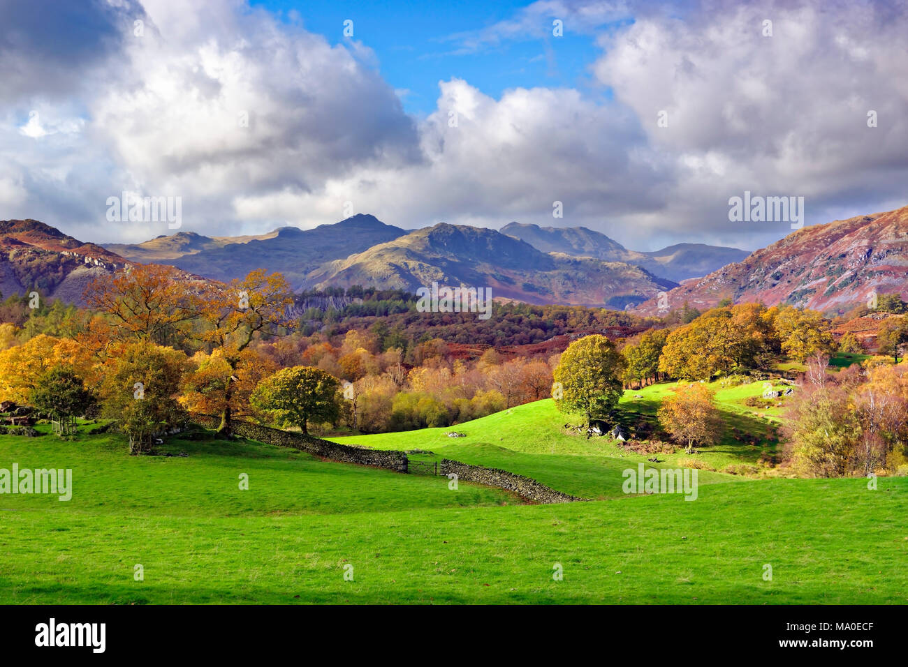 Un colorato autunno vista del distretto del lago campagna vicino Skelwith Bridge, Cumbria, Inghilterra. Foto Stock