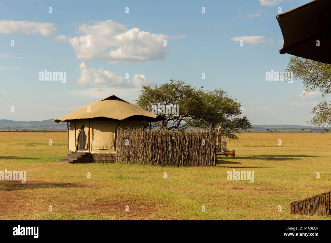 Luxury African Safari Camp in un bel parco di impostazione Foto Stock