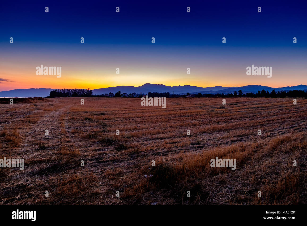 Alba su alberi e campi, Poli Crysochous, Cipro. Foto Stock