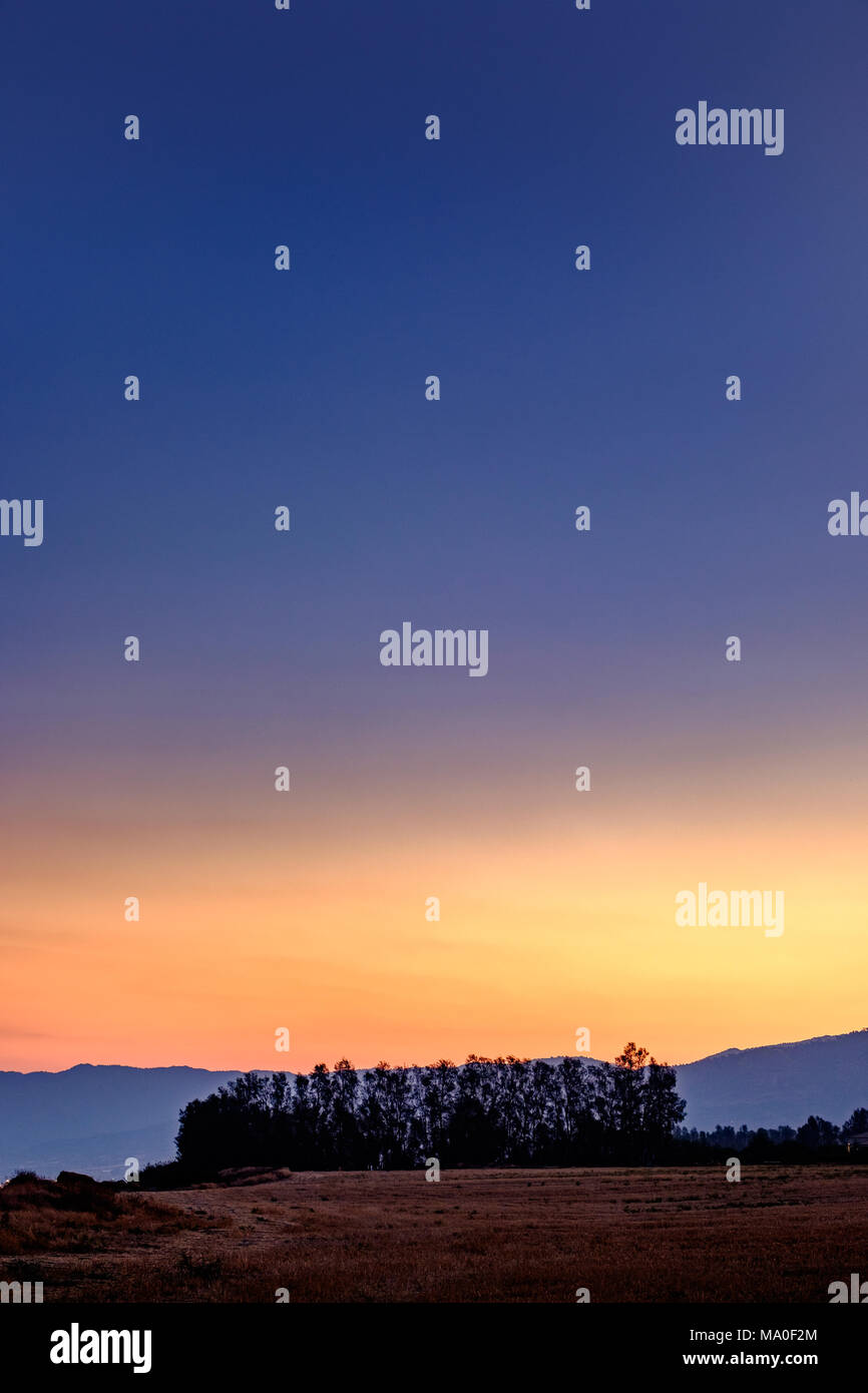 Alba colori sopra gli alberi, Poli Crysochous, Cipro. Foto Stock