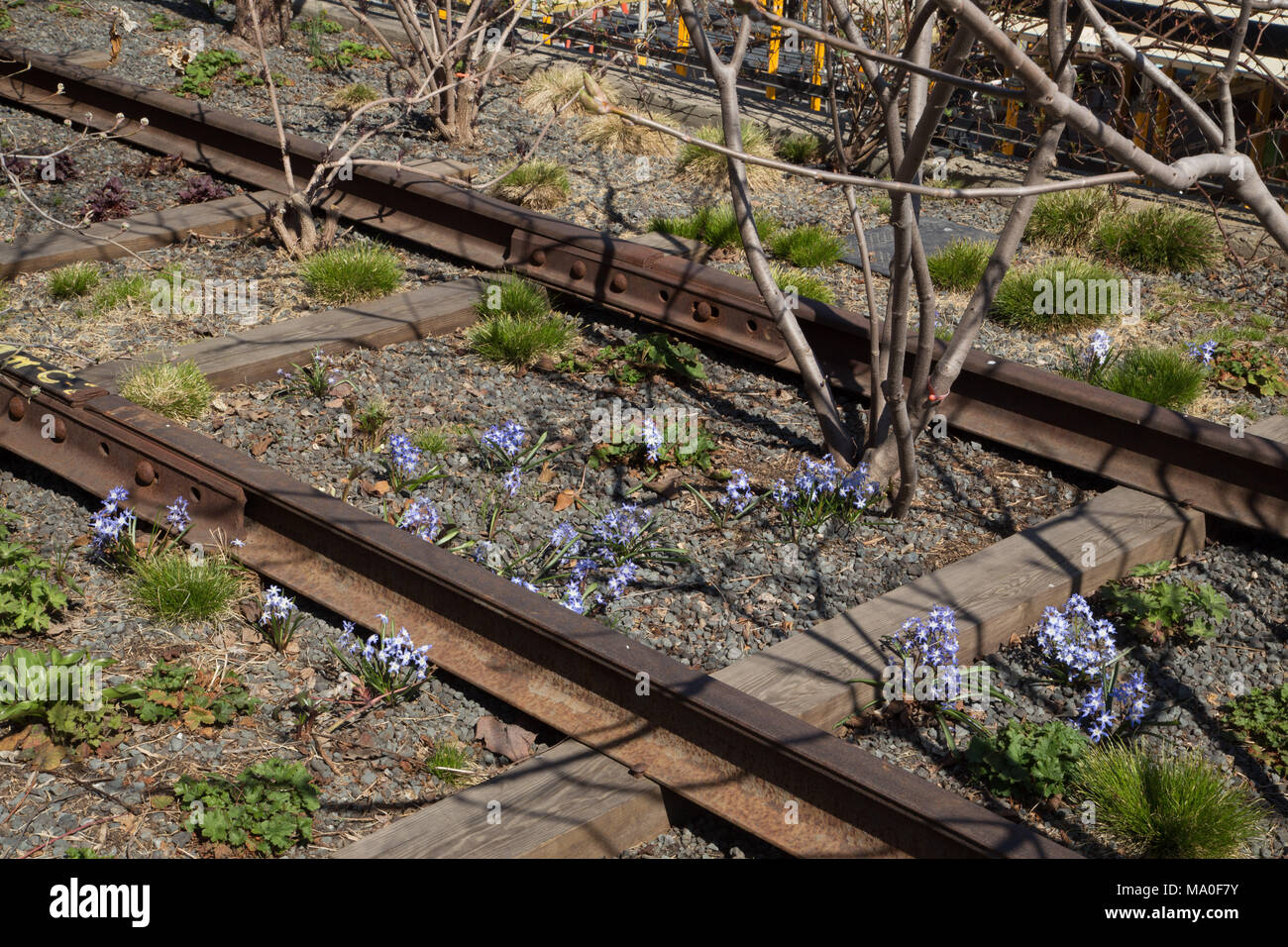 Old New York Railroad essendo ripreso dalla Natura Foto Stock