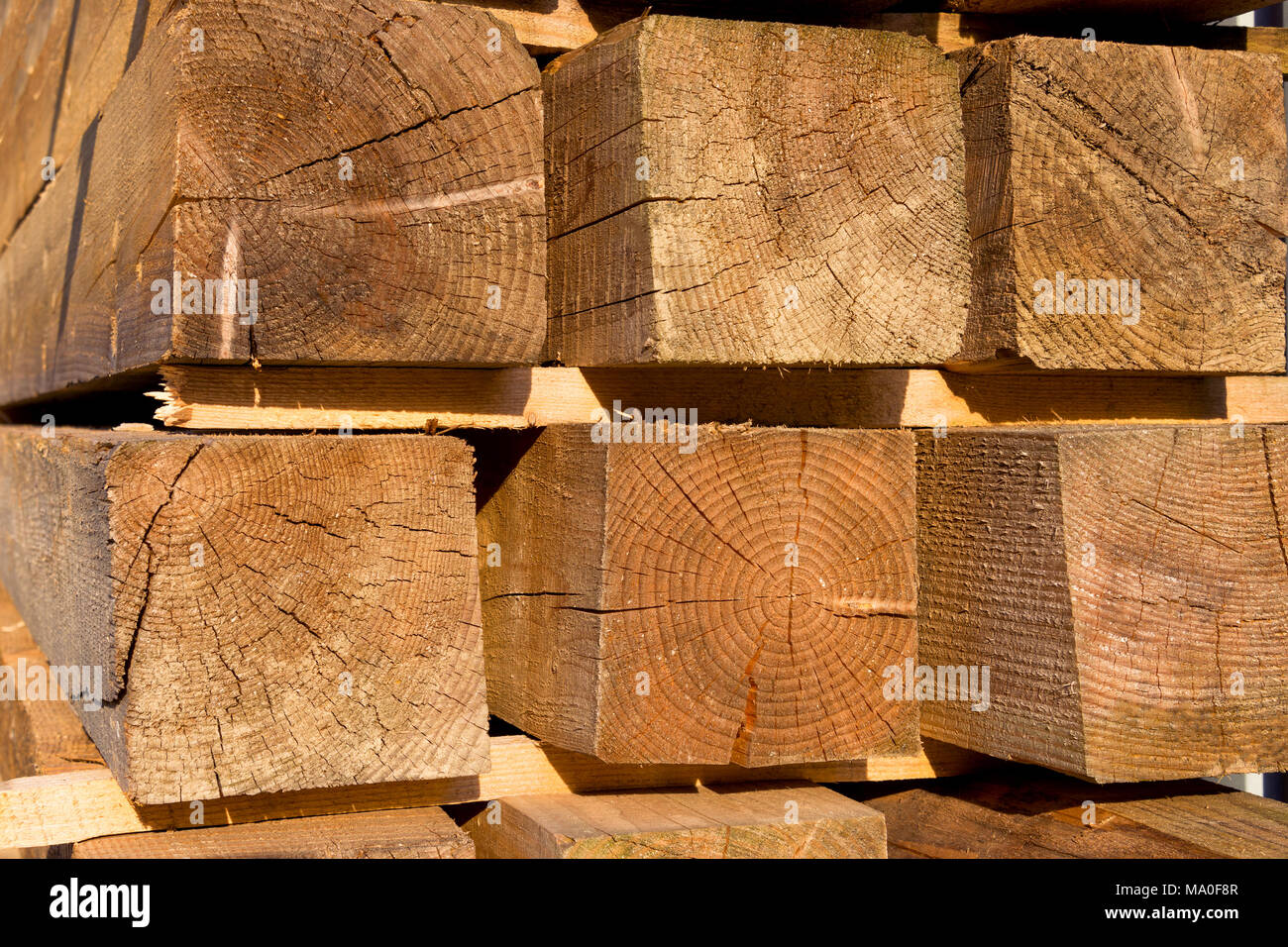 La texture di un albero di close-up. Rilievo e modelli di legno. Materiali di costruzione per la lavorazione del legno Foto Stock