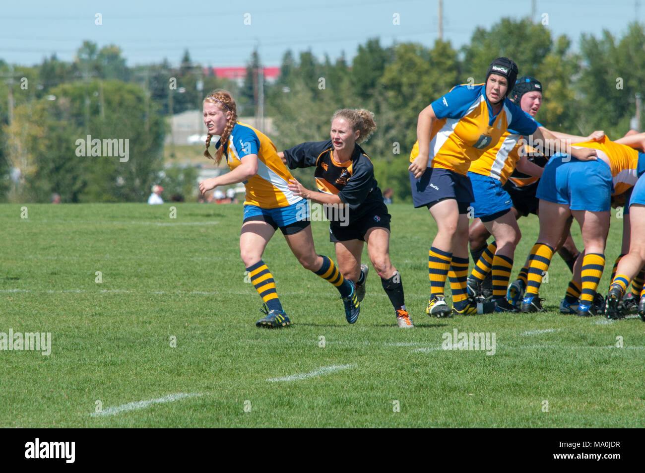 Il Scrumhalf va a correre durante la donna della Premiership Alberta finale di Rugby tra i calabroni di Calgary ed Edmonton Lep-Tigers a Calgary Rug Foto Stock