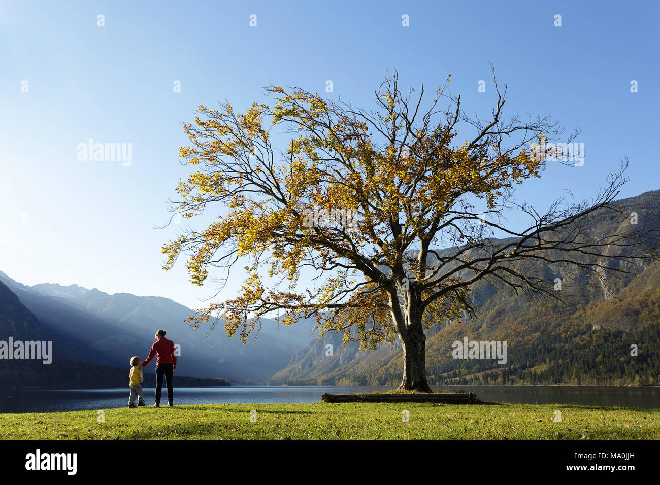 Madre e figlio enojing tempo insieme a un vecchio albero dal lago alpino con un ottimo panorama Foto Stock