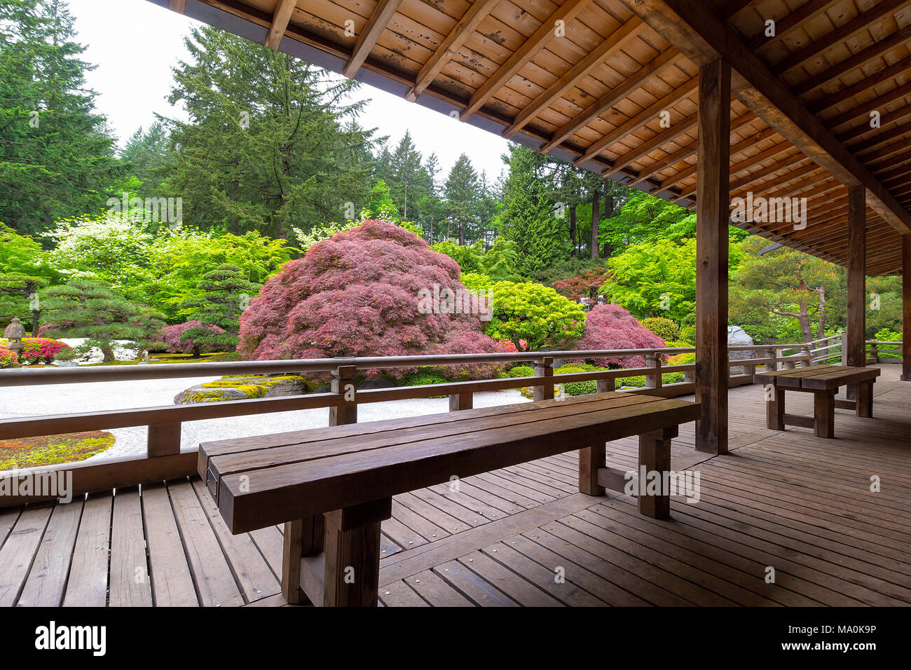 Vista del giardino Giapponese dalla veranda del padiglione Foto Stock