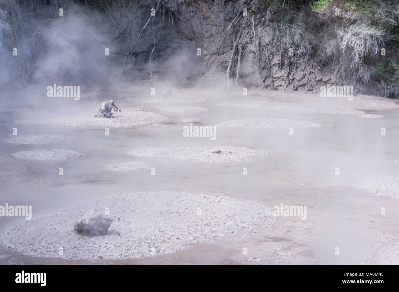 Nuova Zelanda WAI-o-tapu thermal wonderland gorgogliamento di ebollizione piscine di fango fango waiotapu pots Rotorua Nuova Zelanda waiotapu Rotorua Nuova Zelanda Foto Stock