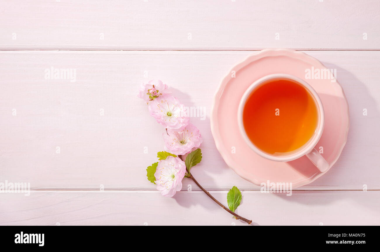 Tazza di tè e la fioritura Almond (Prunus triloba) ramo sul rosa chiaro Tavolo in legno e copia spazio per il testo. Foto Stock